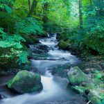 eaux vives durfort septembre 2018