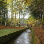 Sortie couleur d’automne Lampy novembre 2025 Patrick c